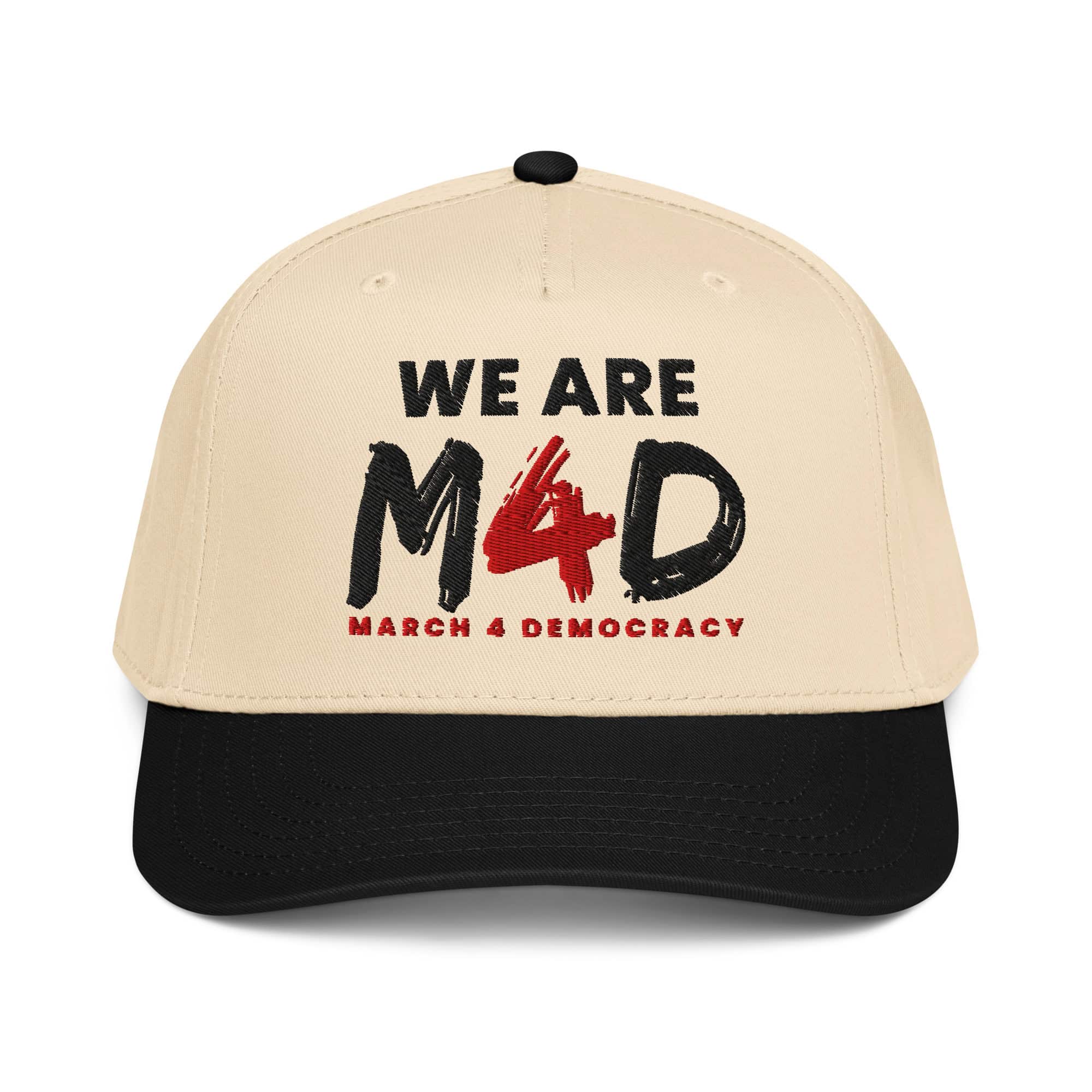 Protects free speech and democracy, grassroots activism, community engagement, civic participation, social justice, protest rallies.