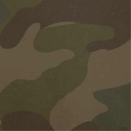 Forest Camo
