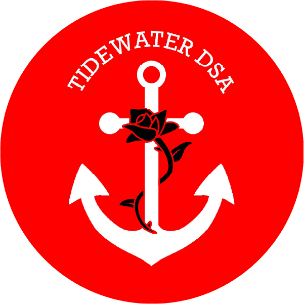 Protecting democracy with the Hide Water DSA anchor symbol and a rose.